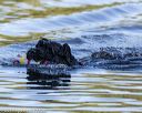 20190922-cwd-0066