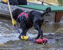 20190922-cwd-0095