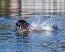 20190922-cwd-0105