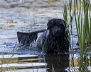 20190922-cwd-0122