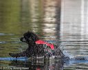 20190922-cwd-0149