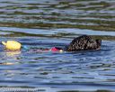 20190922-cwd-0165
