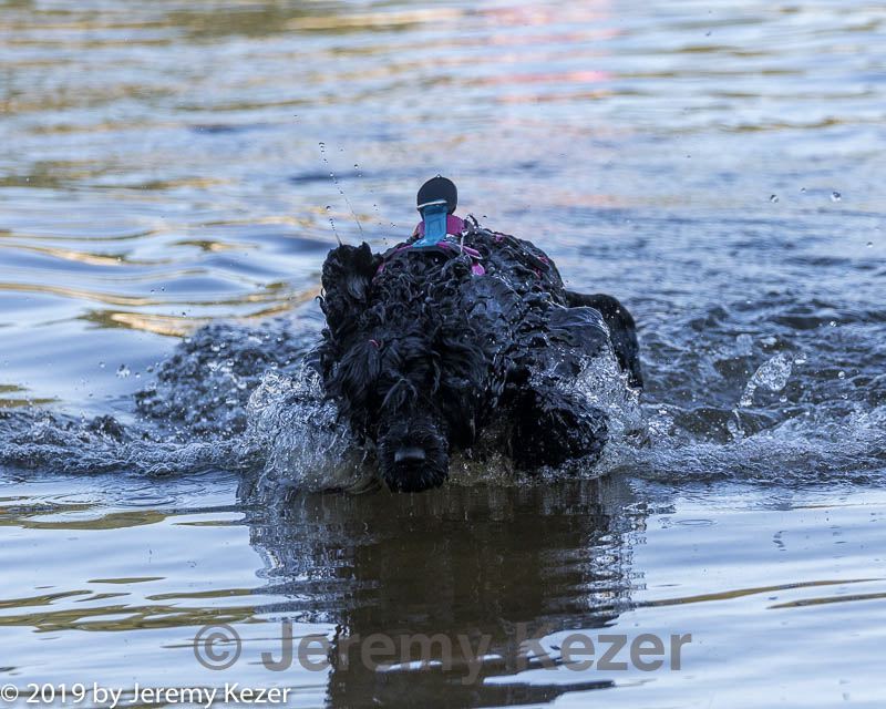20190922-cwd-0028.jpg