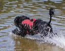 20190922-jwd-0047