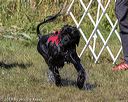 20190922-jwd-0087