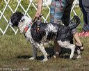 20190922-jwd-0138