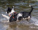 20190922-jwd-0143