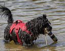 20190922-jwd-0230