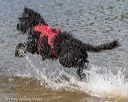 20190922-jwd-0254
