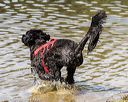 20190922-jwd-0270