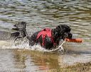20190922-jwd-0282