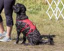 20190922-jwd-0292