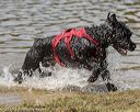 20190922-jwd-0364