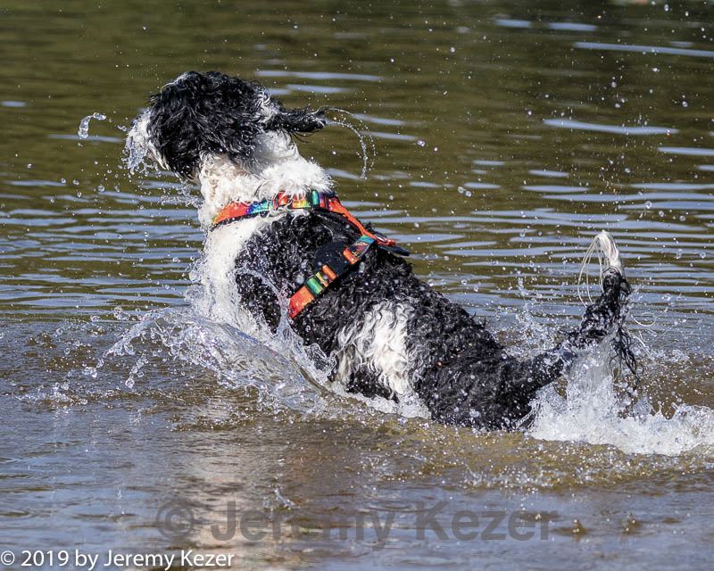 20190922-jwd-0147.jpg