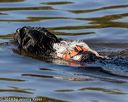 20190922-wwd-0003