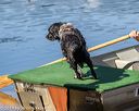 20190922-wwd-0022