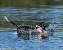 20190922-wwd-0030