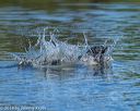 20190922-wwd-0031
