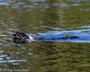 20190922-wwd-0035