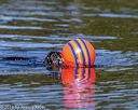 20190922-wwd-0059
