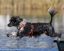20190922-wwd-0079