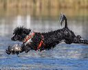 20190922-wwd-0080