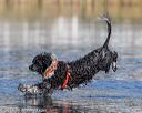 20190922-wwd-0081