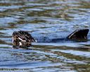 20190922-wwd-0087