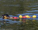 20190922-wwd-0099