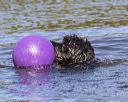 20190922-wwd-0125