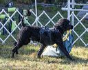 20190922-wwd-0140