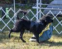 20190922-wwd-0141