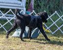 20190922-wwd-0150