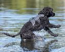 20190922-wwd-0156
