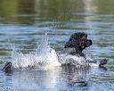 20190922-wwd-0157