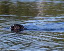 20190922-wwd-0161