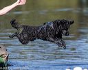20190922-wwd-0165