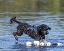20190922-wwd-0167