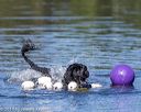 20190922-wwd-0168