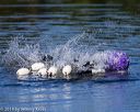 20190922-wwd-0169