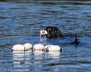 20190922-wwd-0172