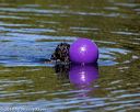 20190922-wwd-0182