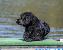 20190922-wwd-0188