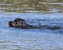 20190922-wwd-0195