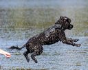 20190922-wwd-0199