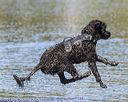 20190922-wwd-0200
