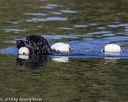 20190922-wwd-0207