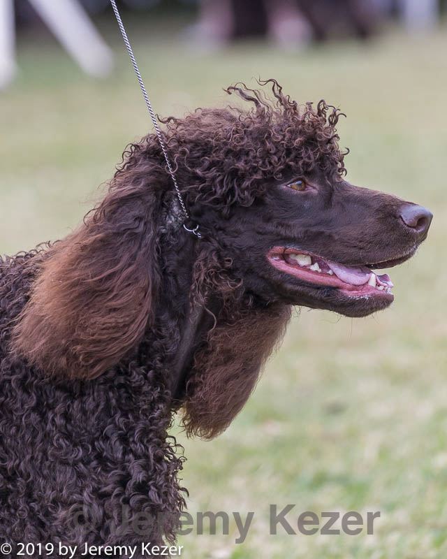 20190928-0574.jpg