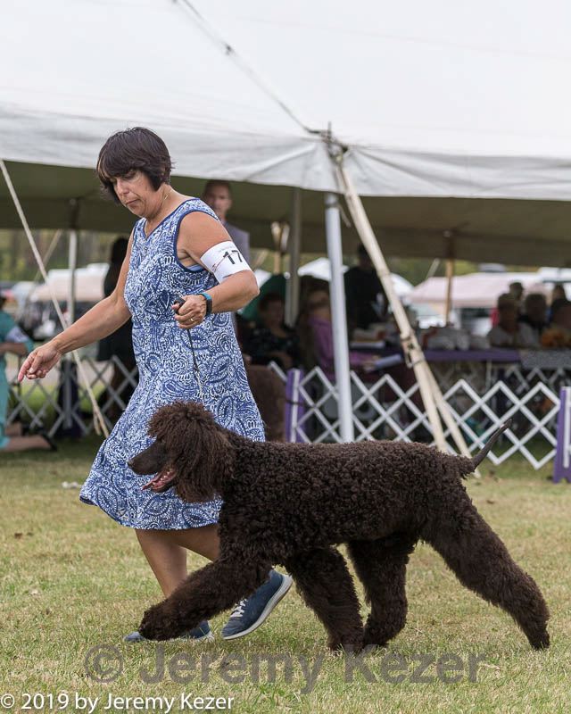 20190928-0584.jpg