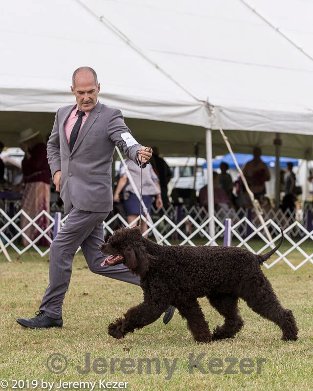20190928-0269.jpg